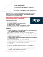 Sistema Cardiovascular