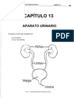 Histo 3ra Fase - 356-450 - Copia - Removed