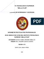 Informe de Las Practicas Profesionales I.T.S.B.F