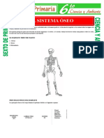 Sistema Oseo para Sexto de Primaria