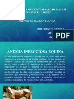 Anemia Infecciosa Equina