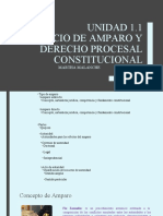 Amparo y Procesal Constitucional