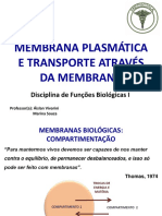 MP e Transporte