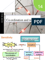 Y10 Co Ordination and Response