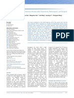 1-S2.0-S1878875022005460-Main Filum Terminale: A Comprehensive Review With Anatomical, Pathological, and Surgical Consideration