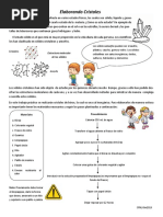 Elaborando Cristales