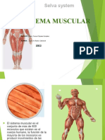 Sistema Muscular Juana Iris Ramos Sandoval