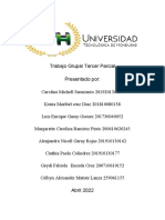 Tarea Grupal Tercer Parcial (Gerencia Estrategica)