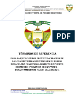 TDR - Ejecucion de Losa Barrio Las Inmaculada Ok