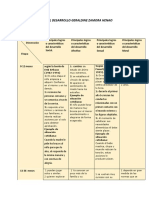 Matriz de Analisis Geraldine