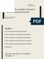 Impacto Dos Incêndios Florestais Nos Subsistemas Terrestres: Diogo Tenreiro Nº4 Mariana Tenreiro Nº12