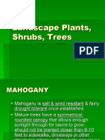 Landscape Plants, Shrubs & Trees