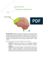 Esquema de Las Funciones Ejecutivas.