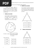 Triangulos Oblicuangulos