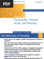 Nucleic Acids PPT (B)