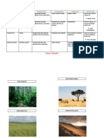 Clima Geografia