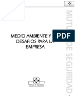 52 Medio Ambiente y Los Desafios para La Empresa (S.G.a.)