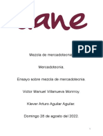 Ensayo Sobre Mezcla de Mercadotecnia.