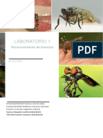 Laboratorio 1: Reconocimiento de Insectos