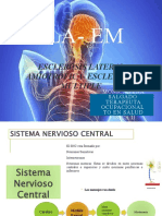 07 Ela - em Fisico