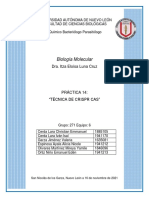 271-Eq.6-Práctica 14-Biología Molecular