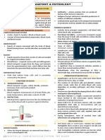 Anaphy - Cardiovascular System - Blood