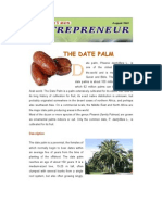 Date Palm