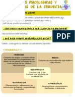 Tema 1 Desarrollo