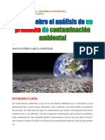 Ensayo Sobre Una Problemática Ambiental-Joana Esther