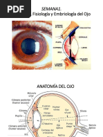 Semana 1. Anatomia de Ojos