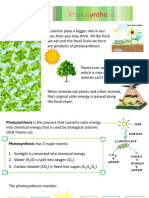 Unit IV Lesson 2 Photosynthesis