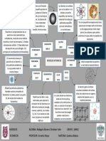 Mapa Conceptual de Modelos Atomicos