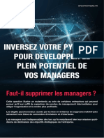 Inversez Votre Pyramide OPEXPARTNERS