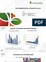 JUJUY ALTERNATIVA DURAZNOpp 2022