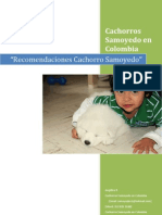 Recomendaciones Cachorro Samoyedo