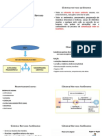 Farmacologia Do Sistema Nervoso Autônomo (SNA)