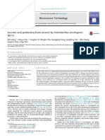 Actinobacillus Succinogenes NJ113