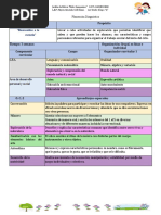 Plan Diagnostico 1ero