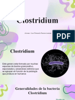 CLOSTRIDIUM