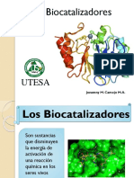 Biocatalizadores - Diapositivas