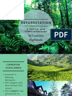 Deforestation at Tropical Rainforest in Cameron Highland Malaysia