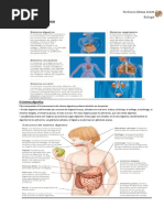 Clase 3 Sistemas Involucrados en La Nutrición Con Actividades