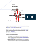 APARATO CIRCULATORIO Estatalñ