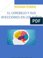 El Cerebelo y Sus Afecciones en Los Niños