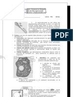 1º - Guía de Estudio Organelos