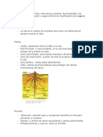 Tarea 4