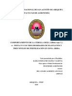 Comportamiento de La Cebolla Roja en Diferentes Densidades y Niveles de Fertilización