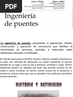 Ingenieria de Puentes