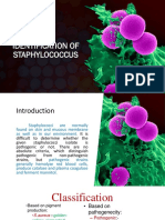 W9 Bacte LAB Identification of Staphylococcus