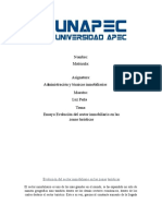 Ensayo Del Sector Inmobiliario